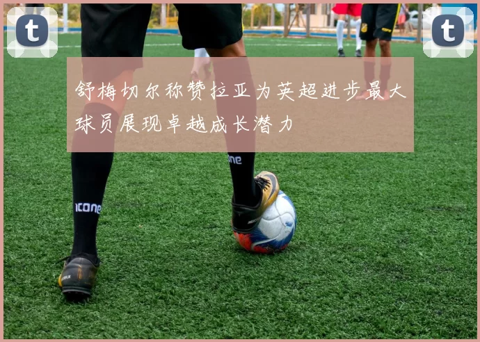舒梅切尔称赞拉亚为英超进步最大球员展现卓越成长潜力