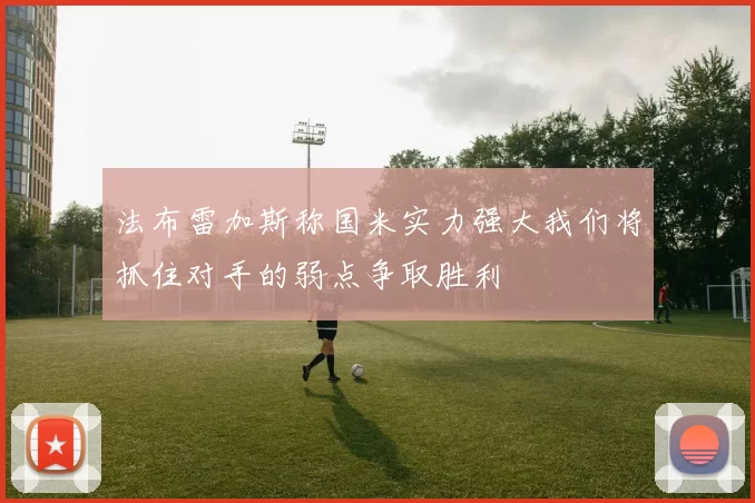 法布雷加斯称国米实力强大我们将抓住对手的弱点争取胜利